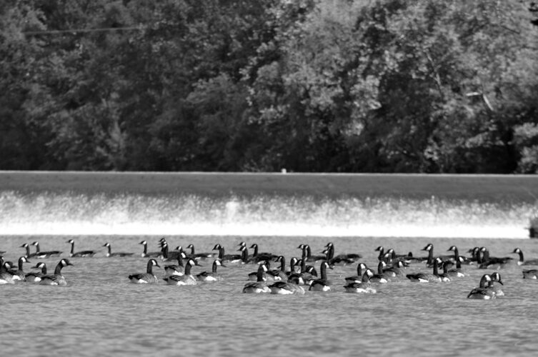 Muskingum River watershed reservoirs protect all of us